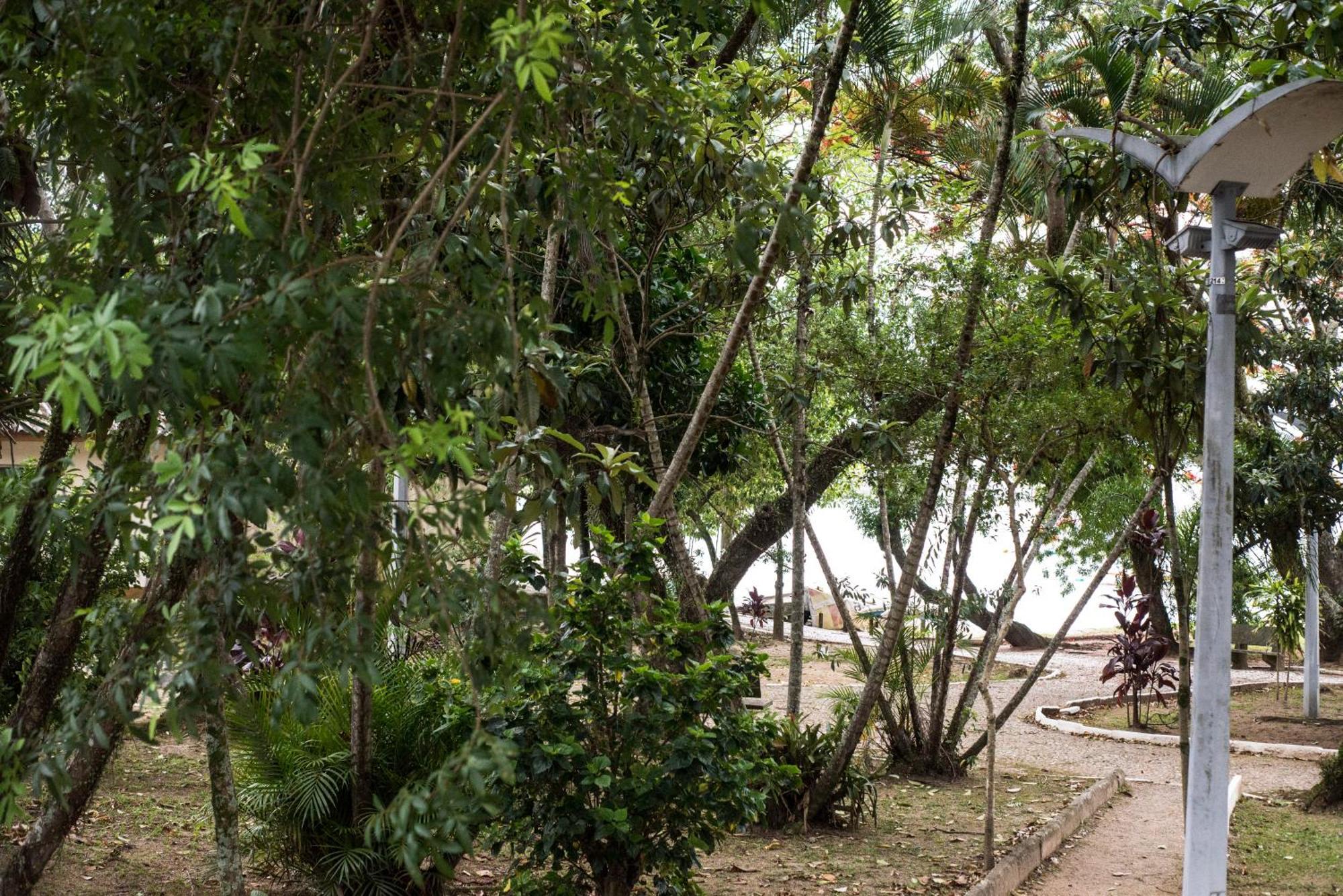 Vista Mar Na Via Gastronomica Coqueiros Coq2 Apartman Florianópolis Kültér fotó