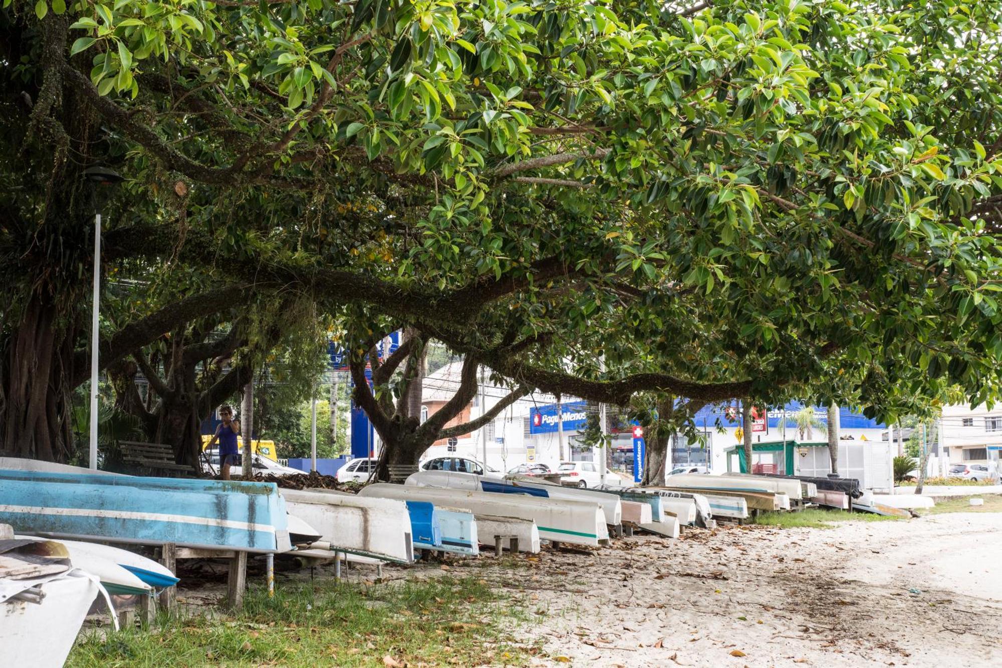 Vista Mar Na Via Gastronomica Coqueiros Coq2 Apartman Florianópolis Kültér fotó